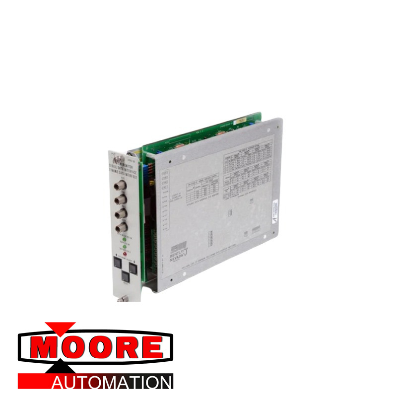 Modulo PLC di alimentazione Bently Nevada 3300/25-XX-15-15-00-00-03-02