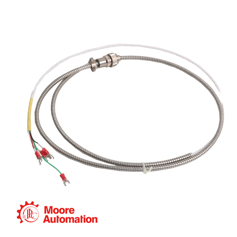 Cavo sonda Bently Nevada 16710-07