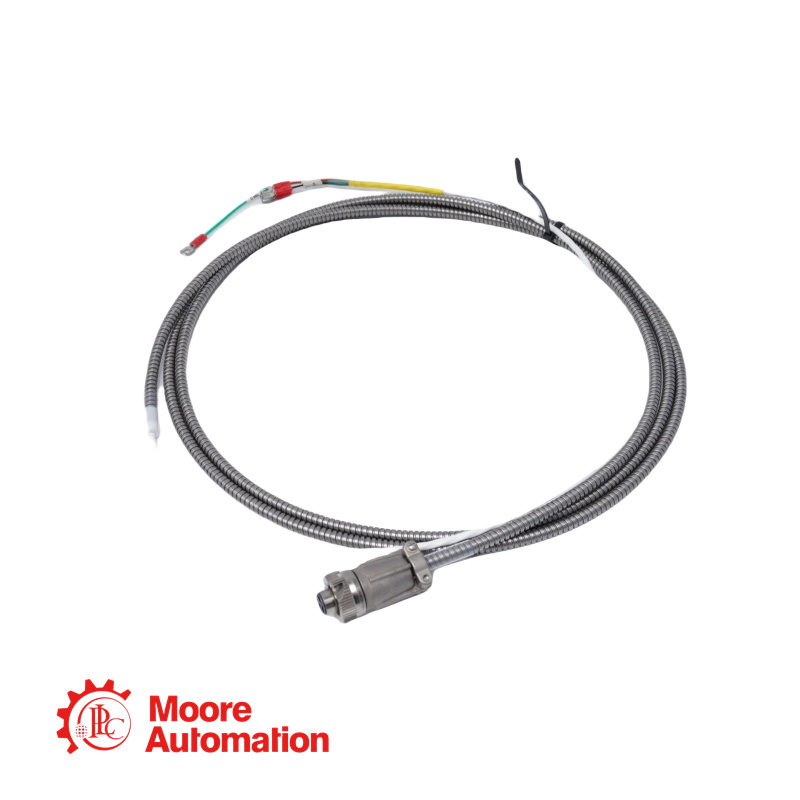 Cavo di collegamento alle vibrazioni Bently Nevada 16710-13