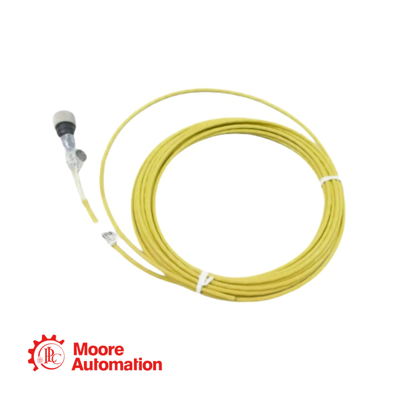 Cavo di interconnessione Bently Nevada CB2W100-250