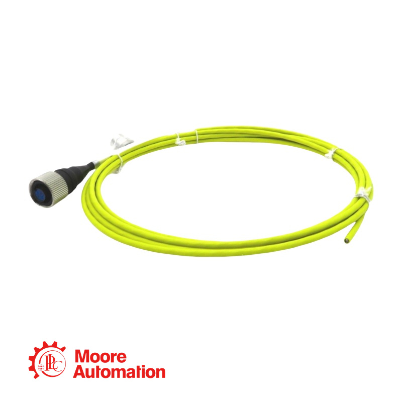 Cavo di interconnessione Bently Nevada CB2W100-032