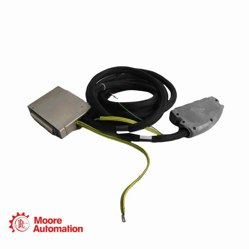 Cavo di manutenzione ICS TRIPLEX TC-304-01