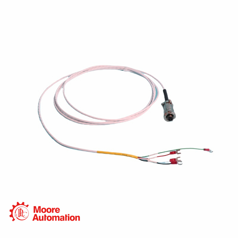 Cavo di interconnessione standard Bently Nevada 16925-17