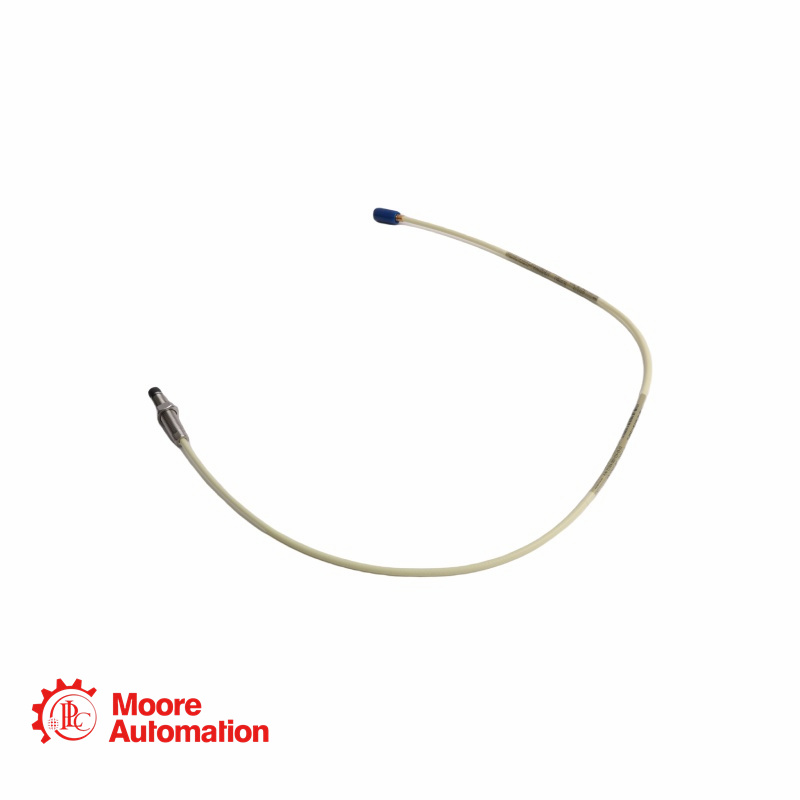 Bently Nevada 21504-000-024-10-02 Sonda a montaggio inverso da 8 mm