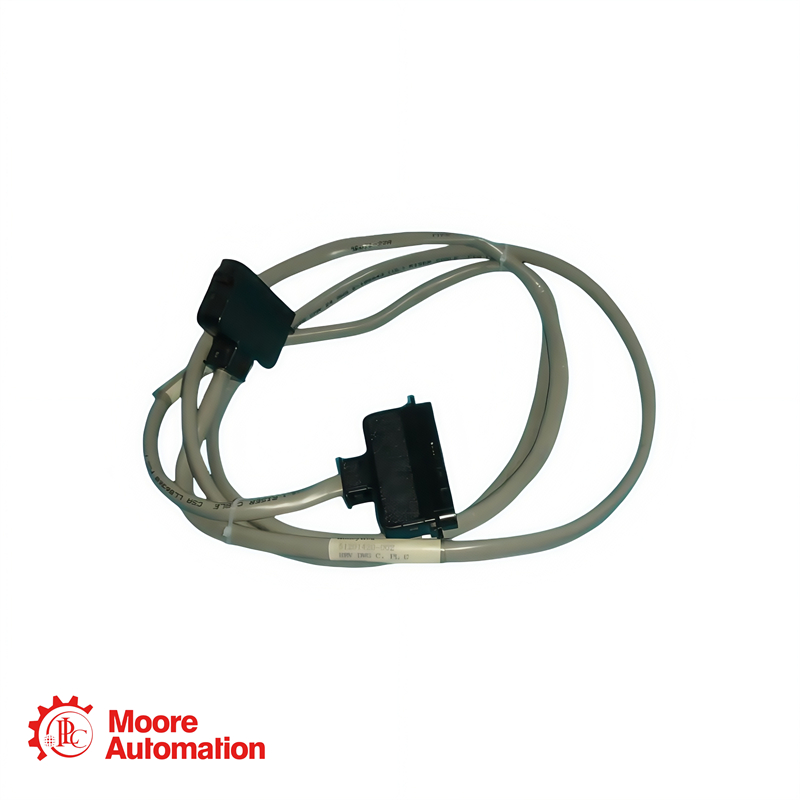 Cavo di assemblaggio di terminazione sul campo UCN HONEYWELL 51201420-002