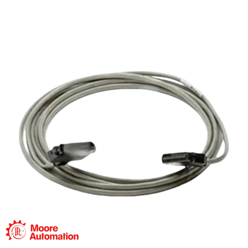 Cavo base T Honeywell 51305562-460