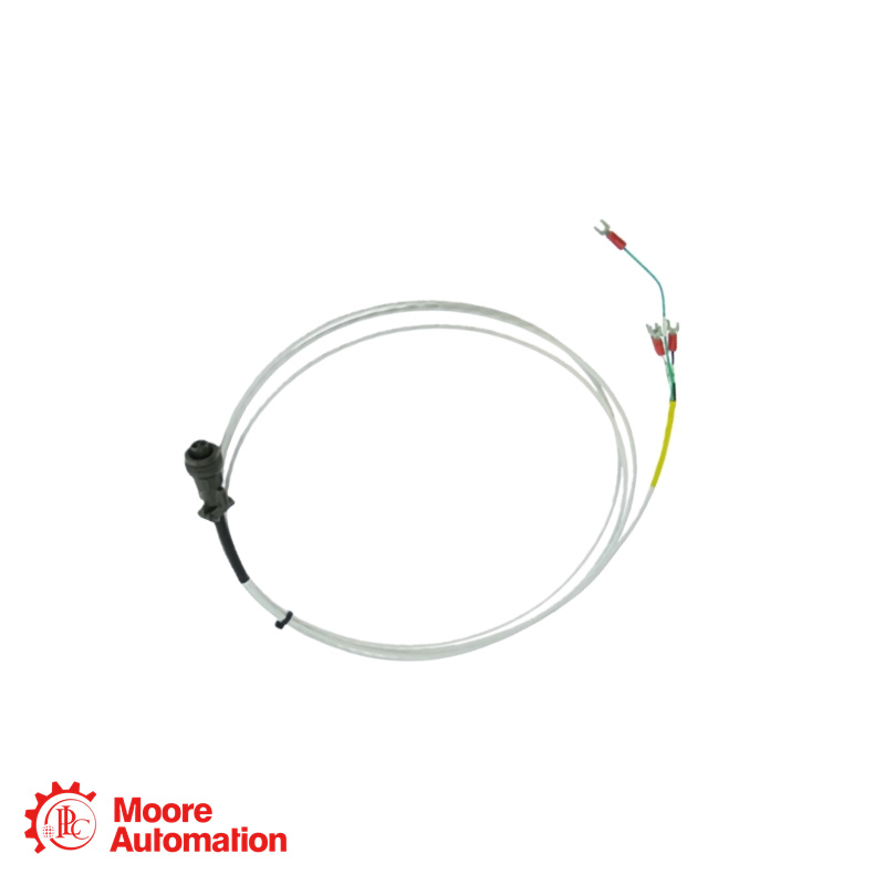 Cavo di interconnessione Bently Nevada 16925-66